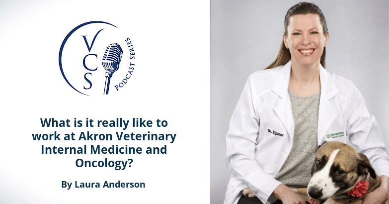 Dr Amanda Elpiner veterinary oncology career